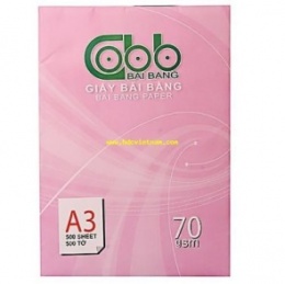 Giấy A3 Quality ĐL70