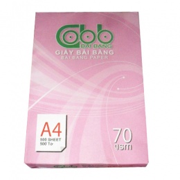 Giấy A4 Bãi Bằng ĐL70 