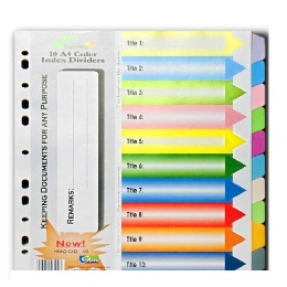 Chia File nhựa 10 màu 