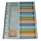 Chia file nhựa 1 màu đánh số 1-31