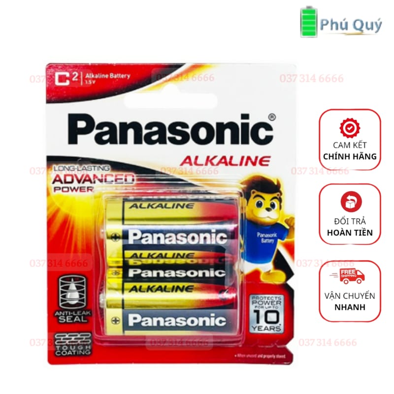 PIn Panasonic trung C